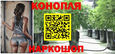 jwh Аргун