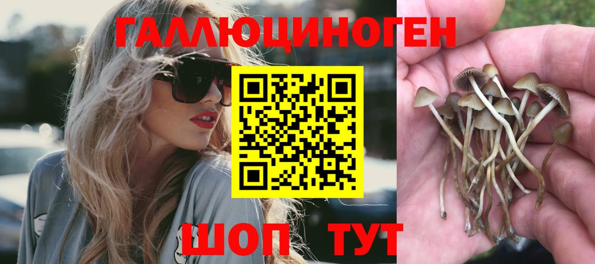 Метадон Будённовск